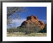View To Bell Rock, Arizona, Usa by Ruth Tomlinson Limited Edition Pricing Art Print