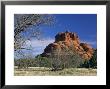 View To Bell Rock, Arizona, Usa by Ruth Tomlinson Limited Edition Pricing Art Print