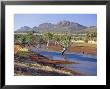 Gum Trees In A Billabong, Flinders Range National Park, South Australia, Australia by Robert Francis Limited Edition Print