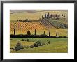 Val D'orcia, Tuscany, Italy by Walter Bibikow Limited Edition Print