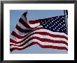 American Flag Waving In The Breeze by Todd Gipstein Limited Edition Print