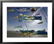 Kites Flying At Beach, Romo, Denmark by Brimberg & Coulson Limited Edition Print