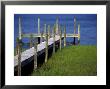 Dock In The Bay by Stacy Gold Limited Edition Print