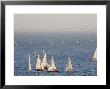Sailboats Racing Cluster Around A Windward Mark, San Francisco Bay, California by Skip Brown Limited Edition Pricing Art Print