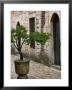 Courtyard Of Topkapi Palace, Istanbul, Turkey by Joe Restuccia Iii Limited Edition Pricing Art Print