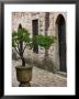 Courtyard Of Topkapi Palace, Istanbul, Turkey by Joe Restuccia Iii Limited Edition Print