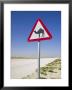 Road Sign-Road To Al-Zubar, Al-Zubara, Qatar by Walter Bibikow Limited Edition Print