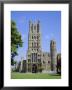 The Cathedral, Ely, Cambridgeshire, England, Uk by Roy Rainford Limited Edition Print