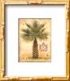 Pacific Palm Detail by Chad Barrett Limited Edition Pricing Art Print
