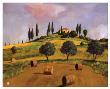 Tuscan Hillside by Judith D'agostino Limited Edition Pricing Art Print