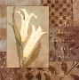Change, Lily by Stephanie Marrott Limited Edition Print