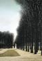 Une Allee Au Jardin Du Luxembourg by Jacques Deperthes Limited Edition Pricing Art Print