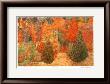 Fall Colors by Tom Mathews Limited Edition Pricing Art Print