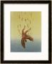 Icarus Falls From The Sky As The Sun Melts His Wings by A.W. Diggelmann Limited Edition Pricing Art Print