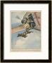 Finnish Parachutist Jumps With His Dog by Vittorio Pisani Limited Edition Print