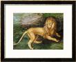 Lion by Albrecht Dürer Limited Edition Pricing Art Print