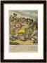 Description Of A Boxing Match Between Ward And Quirk by Thomas Rowlandson Limited Edition Print