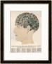 Phrenological Head by R.B.D. Wells Limited Edition Print