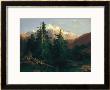 Alexandre Calame Pricing Limited Edition Prints
