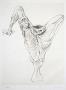 Sexe Oiseau by Hans Bellmer Limited Edition Pricing Art Print