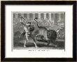 Ancient Rome Gladiators Fighting Lions In An Arena by Patas Limited Edition Print