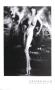 Grazia by Gunter Blum Limited Edition Pricing Art Print