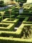 Knot Garden With Formal Hedging, In Sunlight At Abbotswood, Gloucestershire by Mark Bolton Limited Edition Print