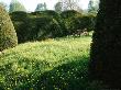 Wild Garden To Formal Lawn With Tall Undulating Taxus (Yew) Hedges, Forde Abbey by Mark Bolton Limited Edition Print