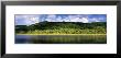 Mountains Along A River, Tahaa, French Polynesia by Panoramic Images Limited Edition Pricing Art Print
