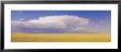 Clouds Over A Wheat Field, Washington State, Usa by Panoramic Images Limited Edition Print