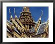 A Golden Serpent Roof Surmounting One Of The Palace Buildings by Todd Gipstein Limited Edition Print