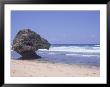 Lion Rock, Atlantic Ocean, Barbados by Barry Winiker Limited Edition Print