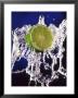 Slice Of Lime On Splashing Water by Dirk Olaf Wexel Limited Edition Print