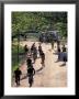 Bike Traffic, Vondelpark, Amsterdam, Netherlands by Walter Bibikow Limited Edition Print