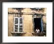 Man With Cat In Window, Avignon, Provence-Alpes-Cote D'azur, France by Glenn Van Der Knijff Limited Edition Pricing Art Print