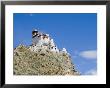 Yumbulagung Castle, Restored Version Of The Region's Oldest Building, Tibet, China by Ethel Davies Limited Edition Print