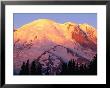 Slopes Of Mt. Rainier In Sunrise Area, Mt. Rainier National Park, Usa by John Elk Iii Limited Edition Print