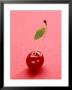 Red Cherry With Stalk And One Leaf by Axel Struwe Limited Edition Pricing Art Print