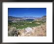 View Westwards Over Vineyards To The Town On An Isthmus In Osoyoos Lake, Osoyoos, Canada by Ruth Tomlinson Limited Edition Print
