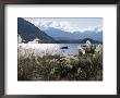 Lake Wanaka, Otago, South Island, New Zealand by Adam Woolfitt Limited Edition Print