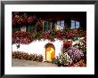 Flowers And Chalet In The Resort Area, Gstaad, Switzerland by Bill Bachmann Limited Edition Print