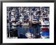 Boats At Marina Of Fisherman's Wharf, San Francisco, California, Usa by Richard I'anson Limited Edition Pricing Art Print