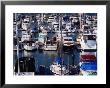 Boats At Marina Of Fisherman's Wharf, San Francisco, California, Usa by Richard I'anson Limited Edition Print