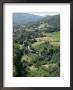 Colli Bolognesi, Emilia Romagna, Italy by Michael Newton Limited Edition Print