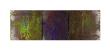 Alliance by Charles Sabec Limited Edition Pricing Art Print