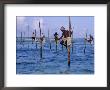 Stilt Fishermen At Welligama, South Coast, Sri Lanka, Indian Ocean, Asia by Bruno Morandi Limited Edition Print