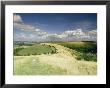 Landscape With Clouds, Win Green, Wiltshire, England, United Kingdom by Michael Busselle Limited Edition Print