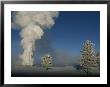 Winter View Of Old Faithful Geyser Erupting by Norbert Rosing Limited Edition Print