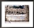 Gross Ventre River Surrounded By Snow And Trees, Grand Teton National Park, Wyoming by Richard Cummins Limited Edition Print