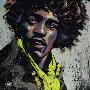 Hues Of Hendrix by David Garibaldi Limited Edition Print